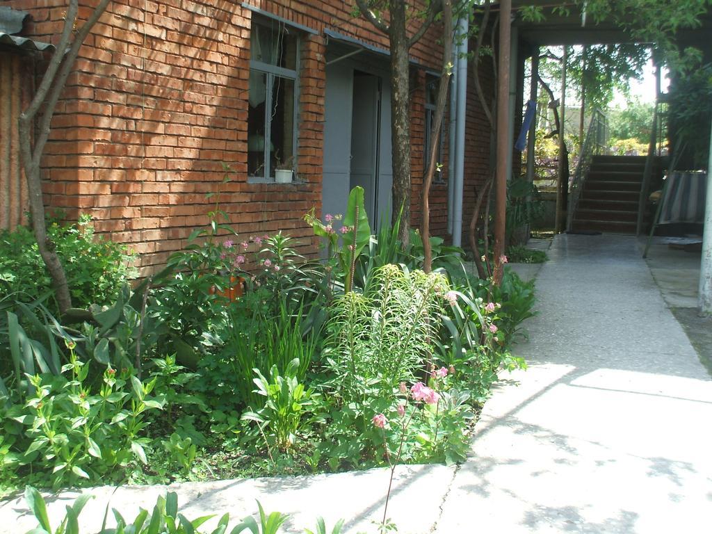 Tlt Guest House Telavi Habitación foto